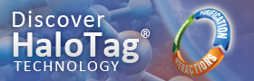 HaloTag_280x90
